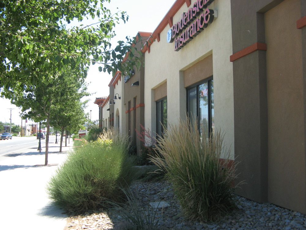 Waterloo Center: 1352 - 1362 N Hwy 395, Gardnerville, NV 89410